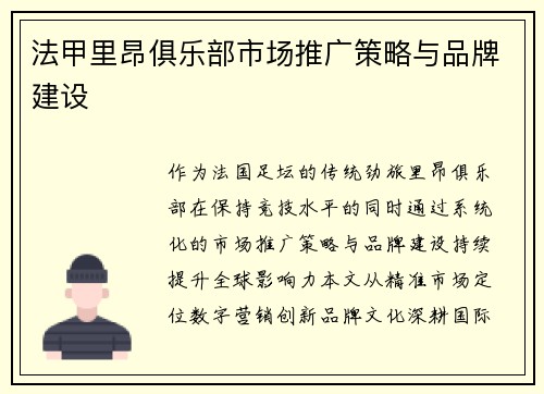 法甲里昂俱乐部市场推广策略与品牌建设