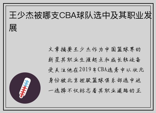 王少杰被哪支CBA球队选中及其职业发展
